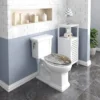 Duroplast Toiletbril Met Softclose-mechanisme Pearl And Starfish 4