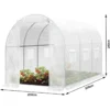 Kas 300x200x200 Cm, Foliekas Winterproof, Tomatenhuis Met Deur 6 Ramen Wit 3