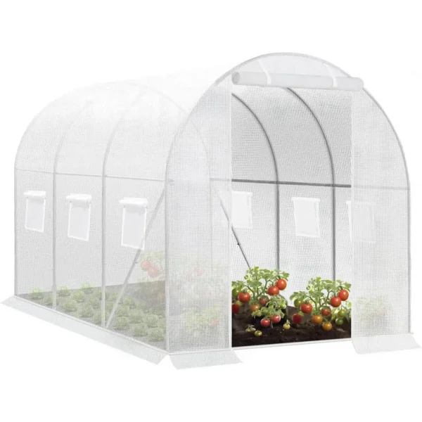 Kas 300x200x200 Cm, Foliekas Winterproof, Tomatenhuis Met Deur 6 Ramen Wit 1