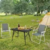 Opvouwbare Campingstoel, Set Van 2, Klapstoel, Comfortabel, Ultralicht Donkergrijs 4