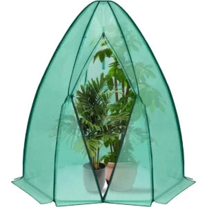 Overwintertent, Kas, Foliekas, Koudframe, Tomatenkas Groen 160x180cm 1